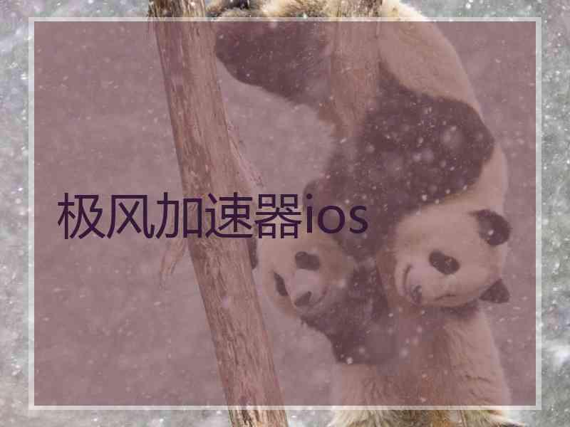 极风加速器ios