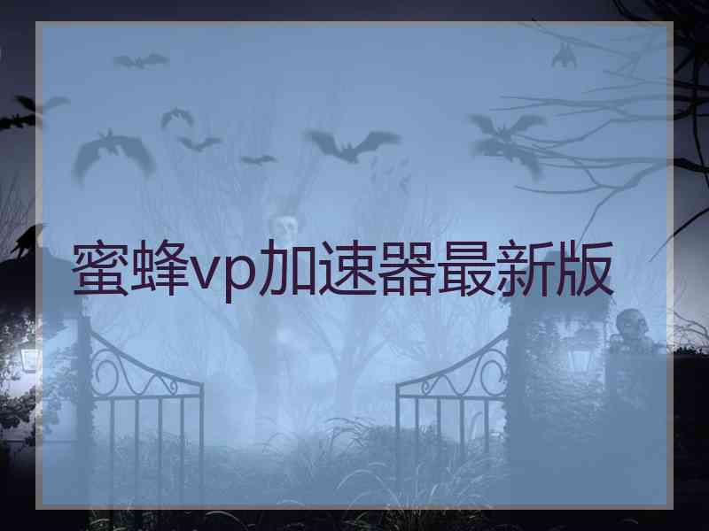 蜜蜂vp加速器最新版