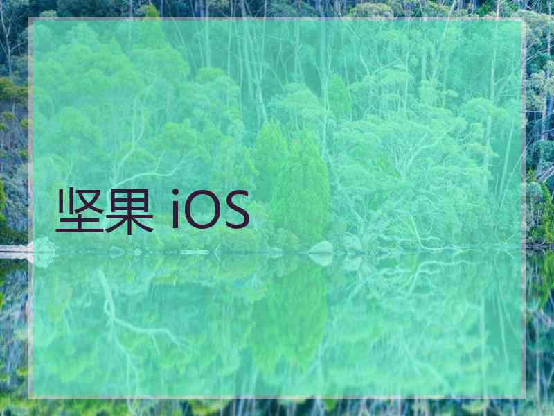 坚果 iOS