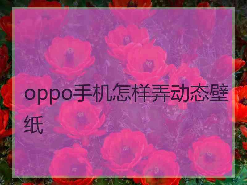 oppo手机怎样弄动态壁纸