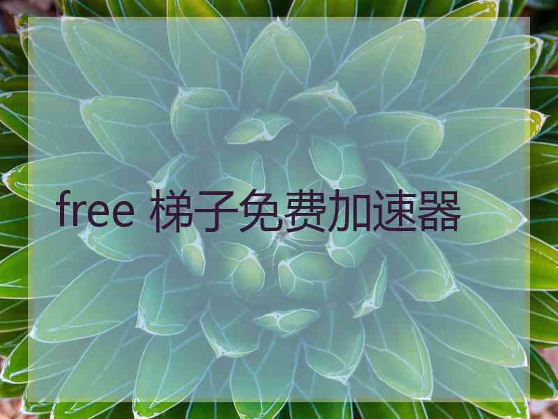 free 梯子免费加速器