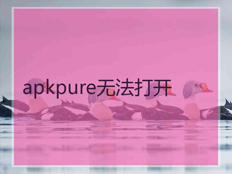 apkpure无法打开