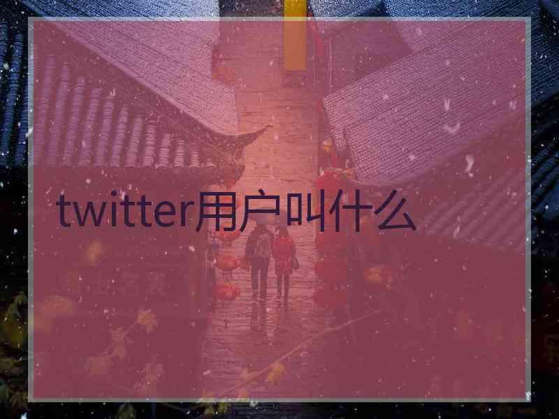 twitter用户叫什么