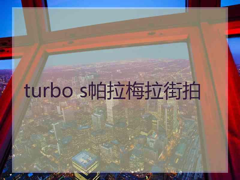 turbo s帕拉梅拉街拍