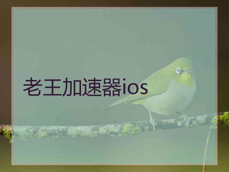 老王加速器ios