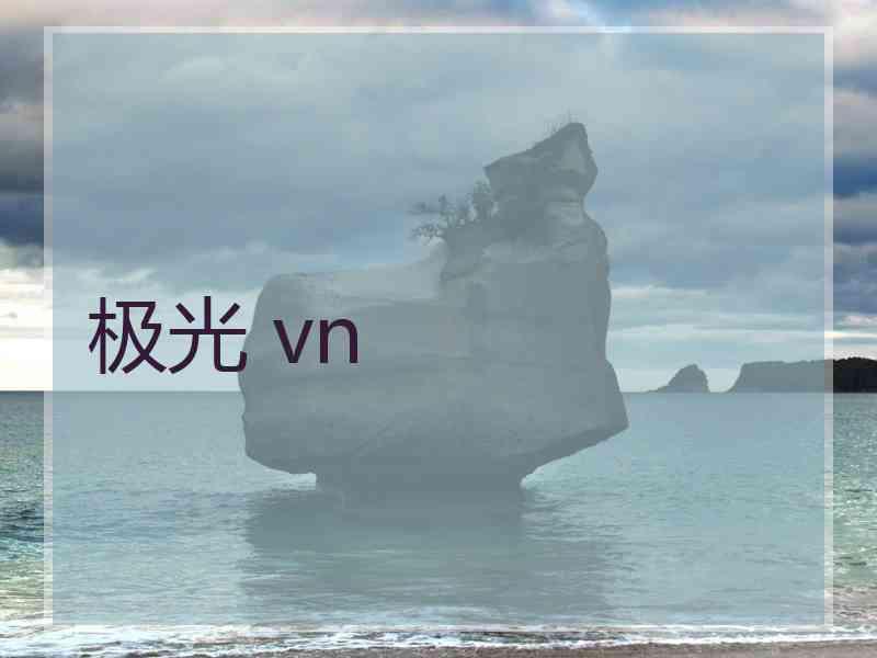 极光 vn