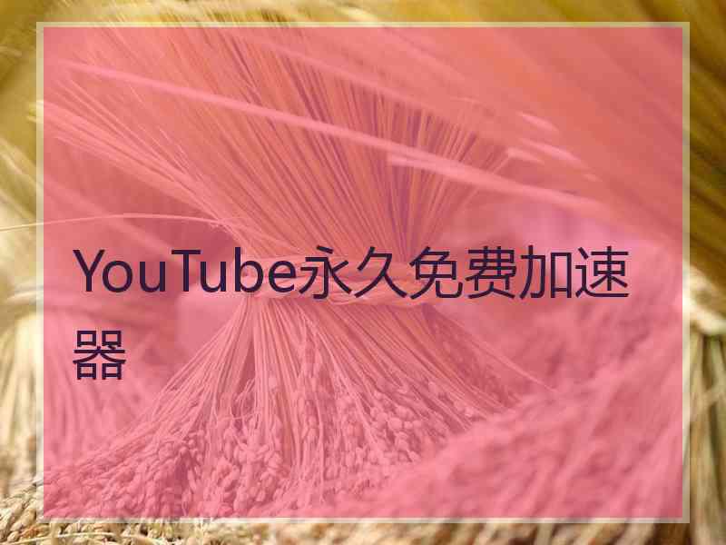 YouTube永久免费加速器