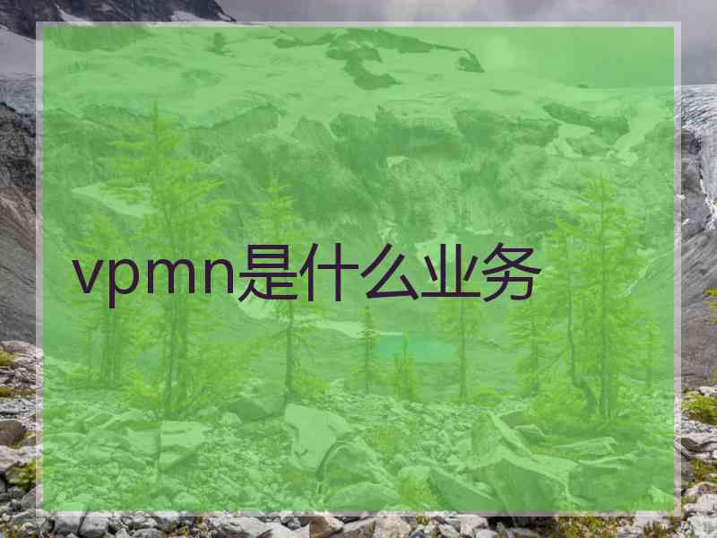 vpmn是什么业务