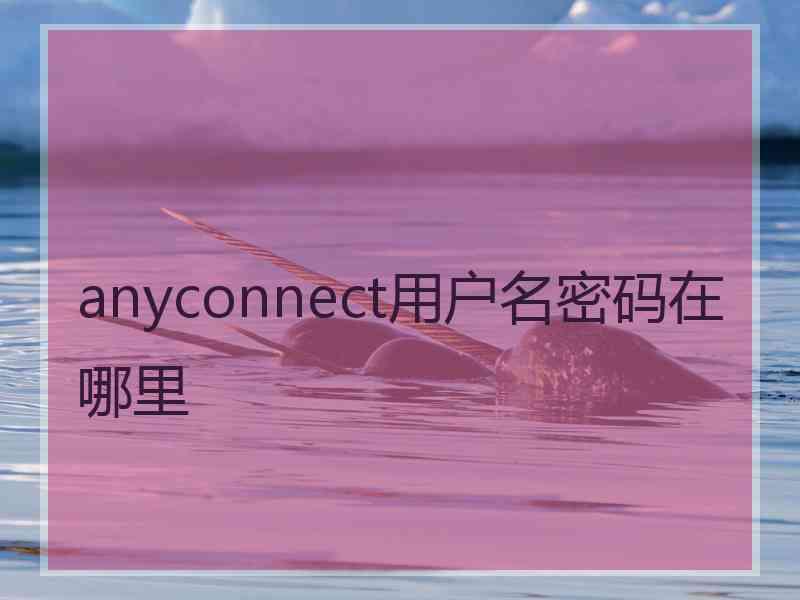 anyconnect用户名密码在哪里