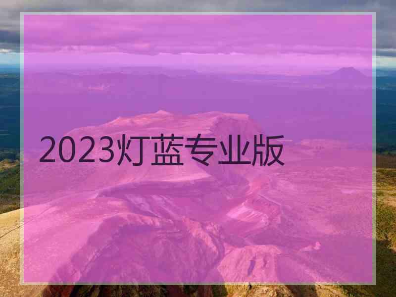 2023灯蓝专业版