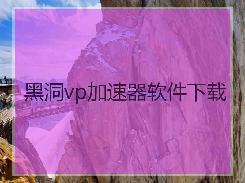 黑洞vp加速器软件下载