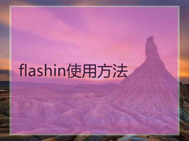 flashin使用方法