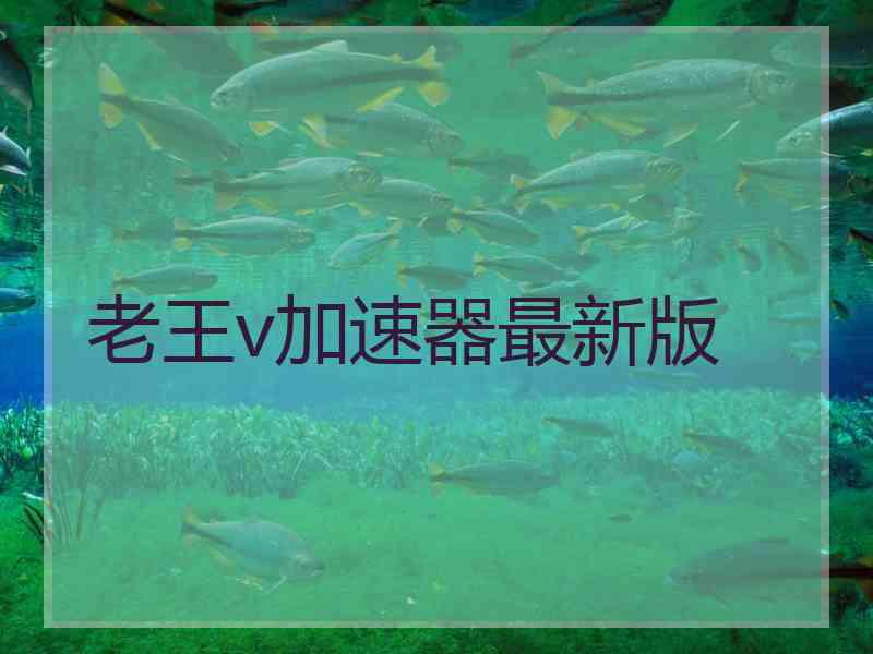 老王v加速器最新版