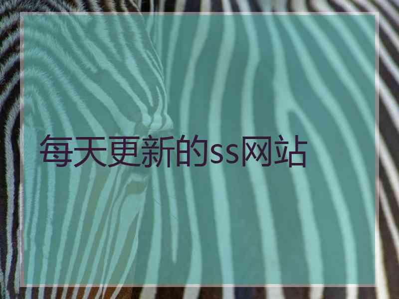 每天更新的ss网站