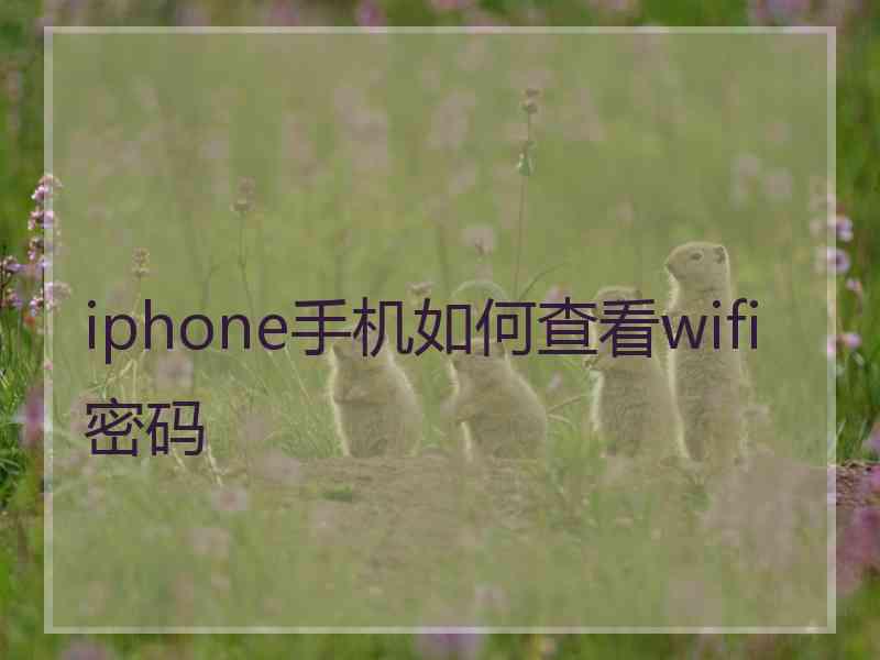 iphone手机如何查看wifi密码