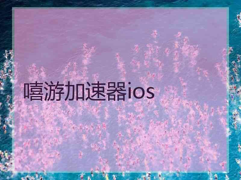 嘻游加速器ios