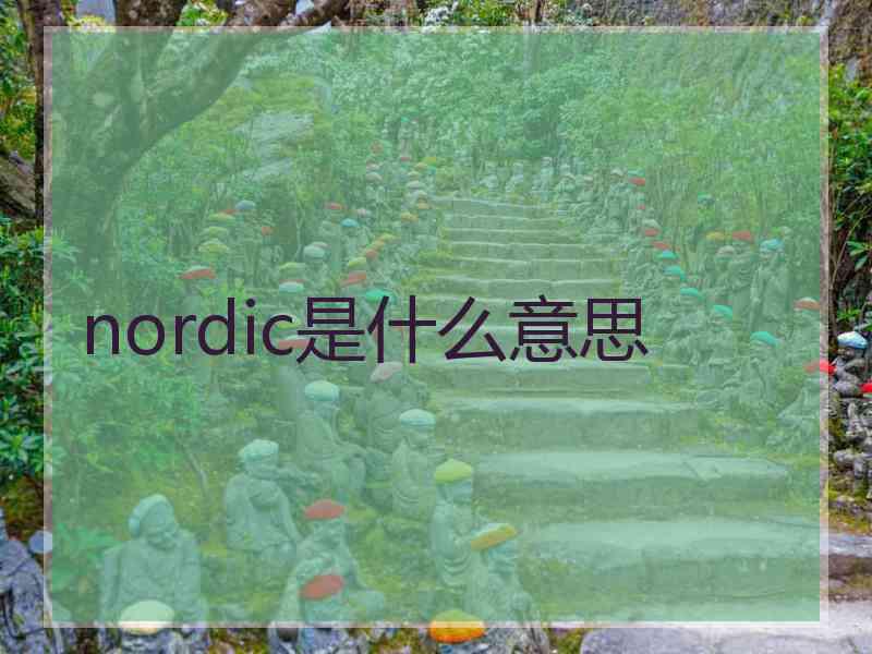 nordic是什么意思