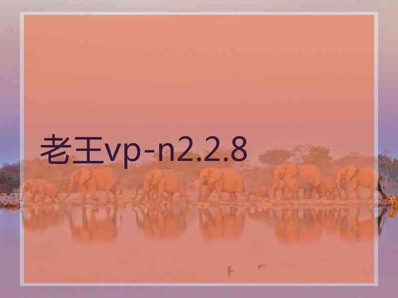 老王vp-n2.2.8