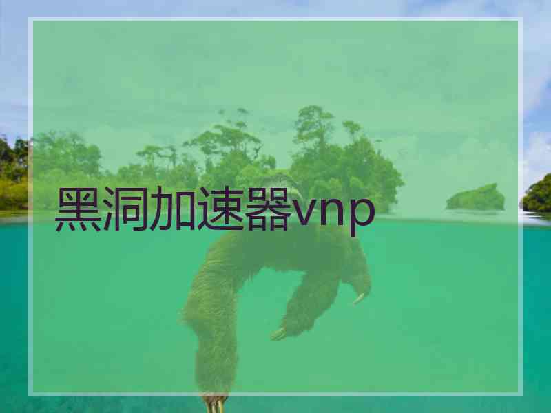 黑洞加速器vnp