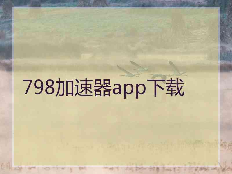 798加速器app下载