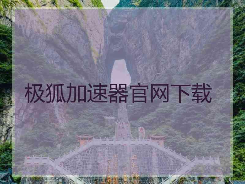 极狐加速器官网下载