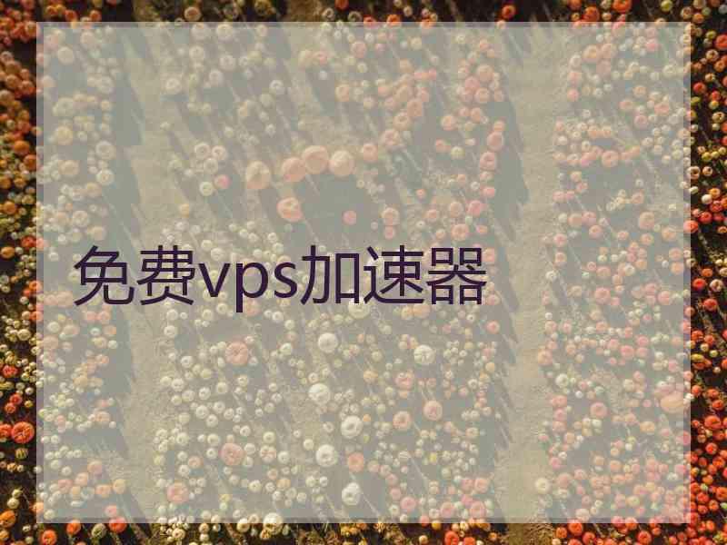 免费vps加速器