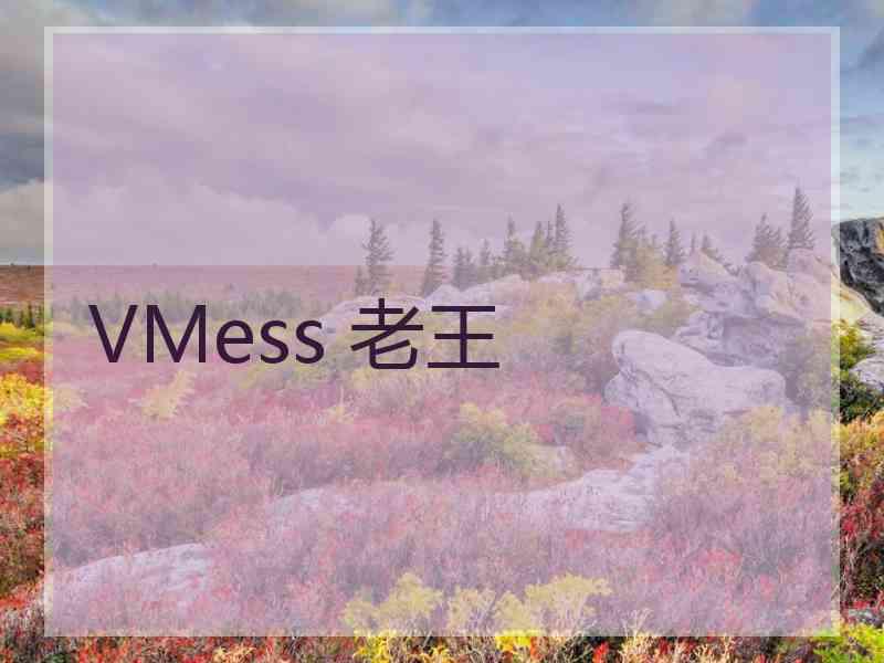 VMess 老王