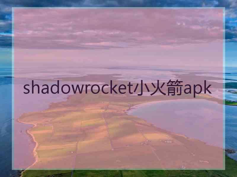 shadowrocket小火箭apk