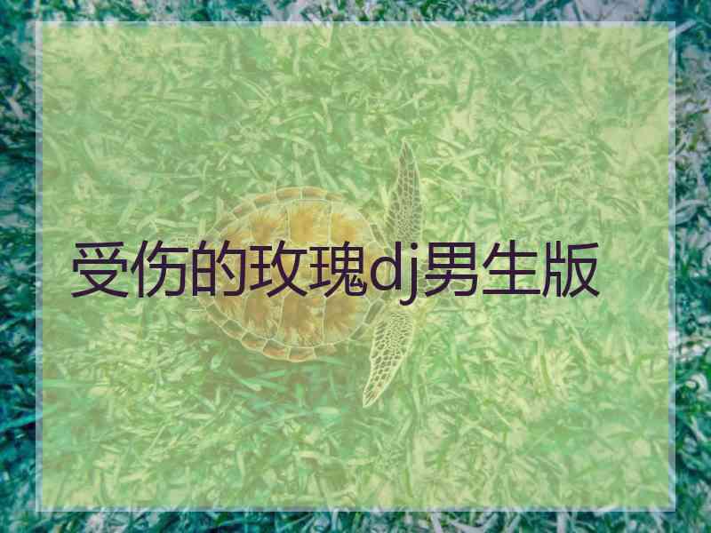 受伤的玫瑰dj男生版