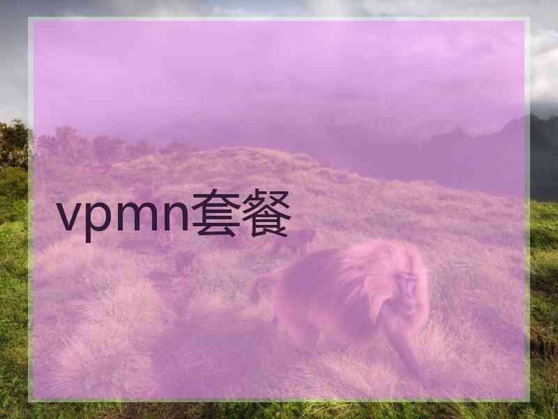 vpmn套餐