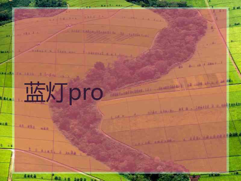 蓝灯pro