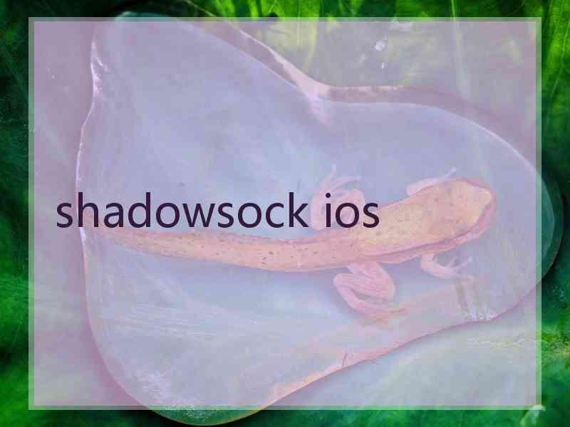 shadowsock ios