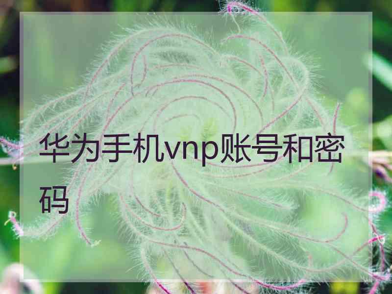 华为手机vnp账号和密码