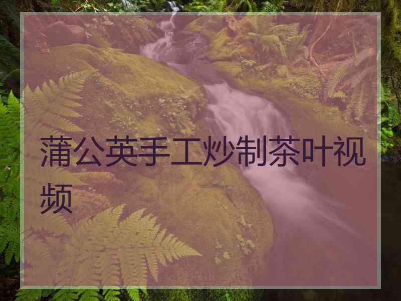 蒲公英手工炒制茶叶视频