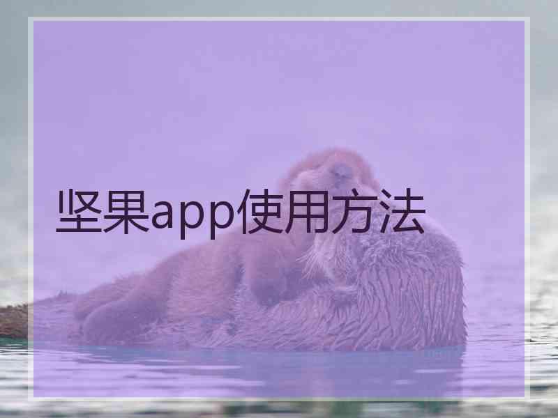 坚果app使用方法