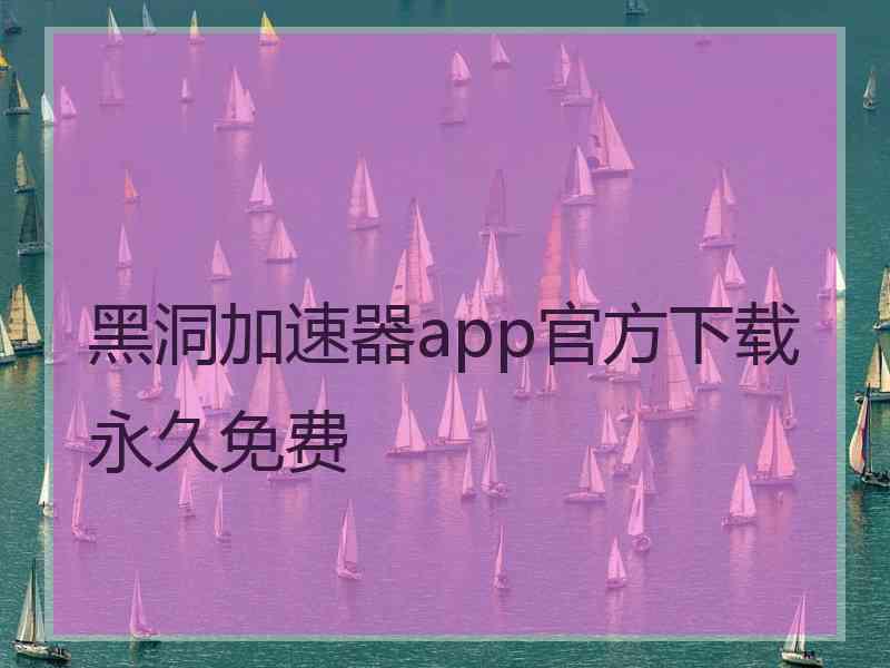 黑洞加速器app官方下载永久免费