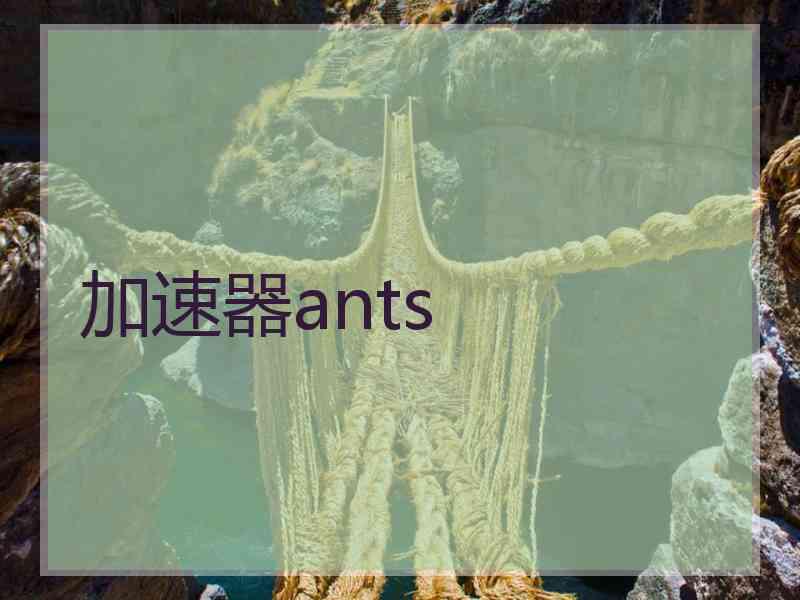 加速器ants