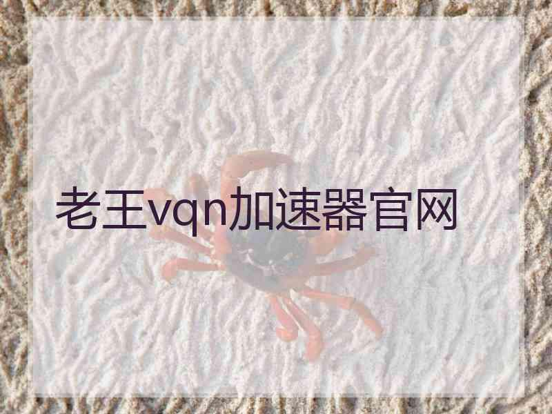 老王vqn加速器官网