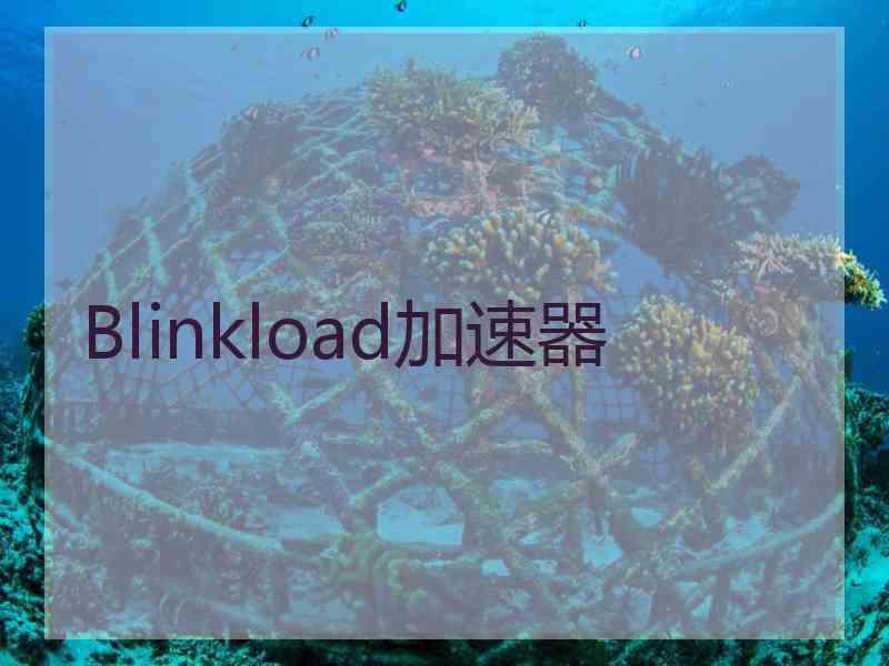 Blinkload加速器