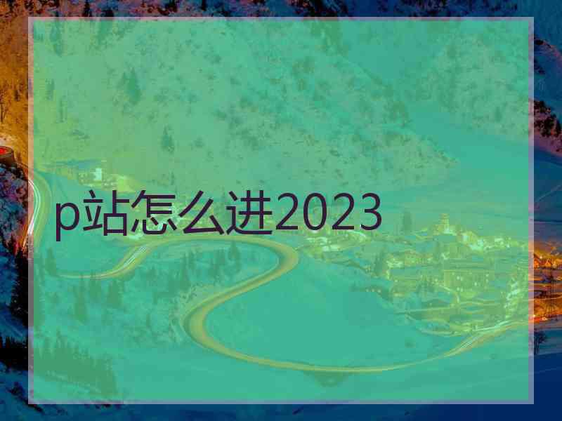 p站怎么进2023