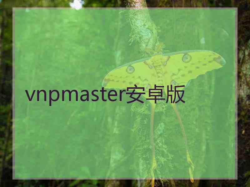 vnpmaster安卓版