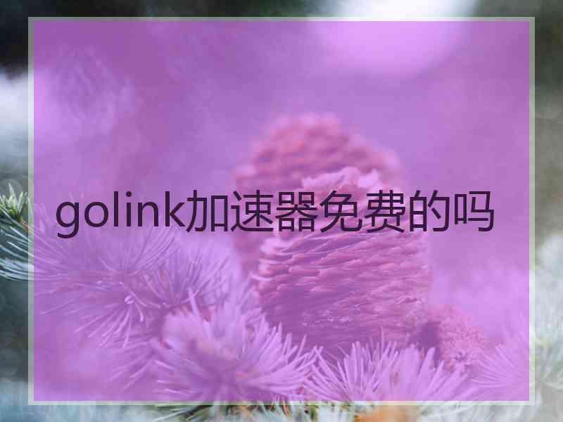 golink加速器免费的吗