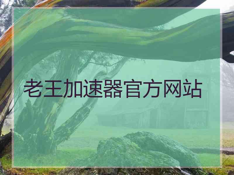 老王加速器官方网站