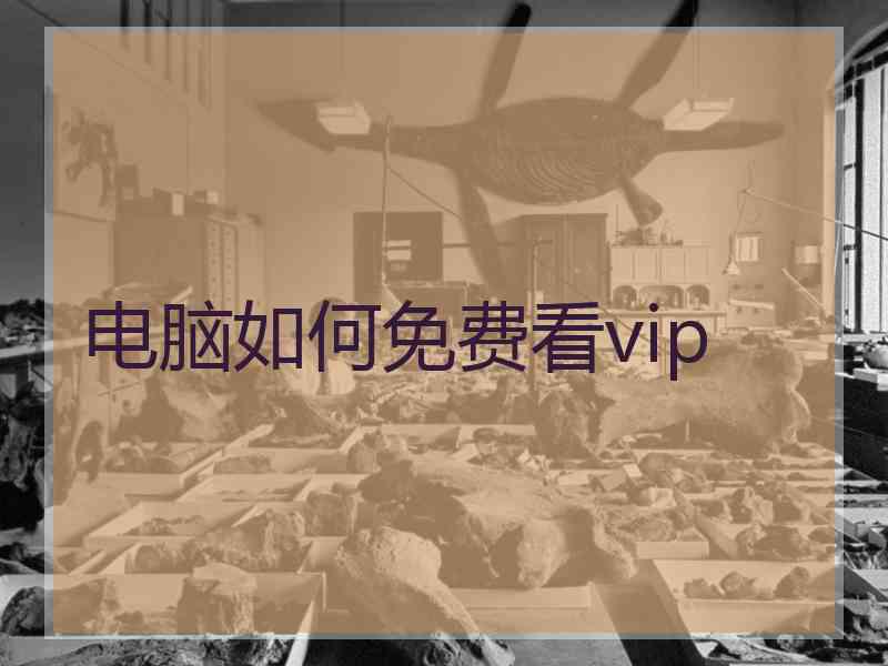 电脑如何免费看vip