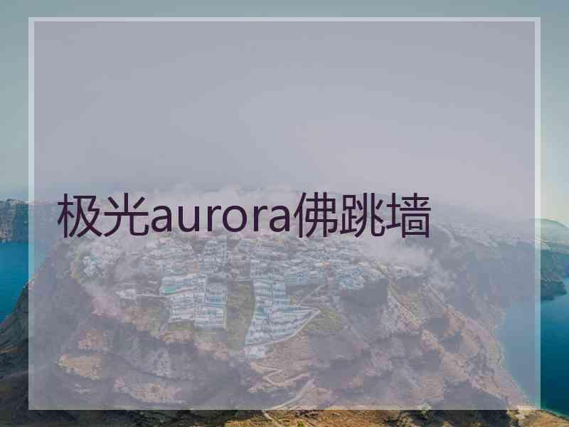 极光aurora佛跳墙