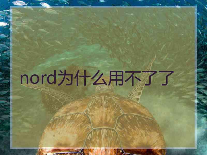 nord为什么用不了了