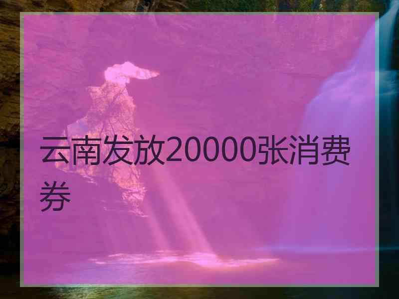 云南发放20000张消费券