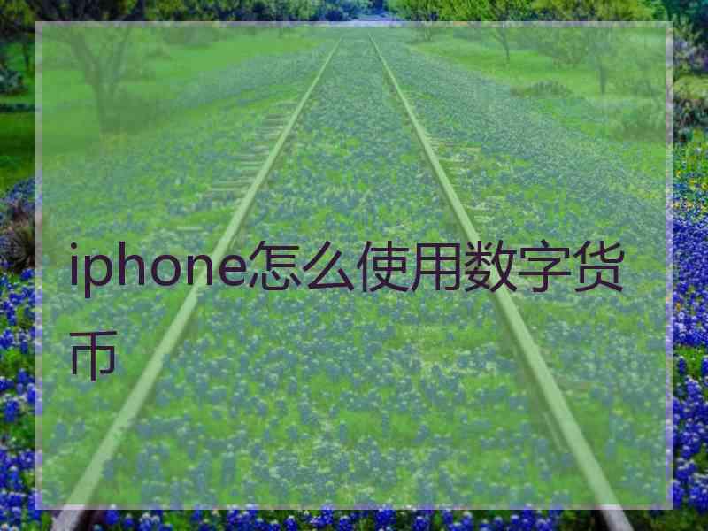 iphone怎么使用数字货币