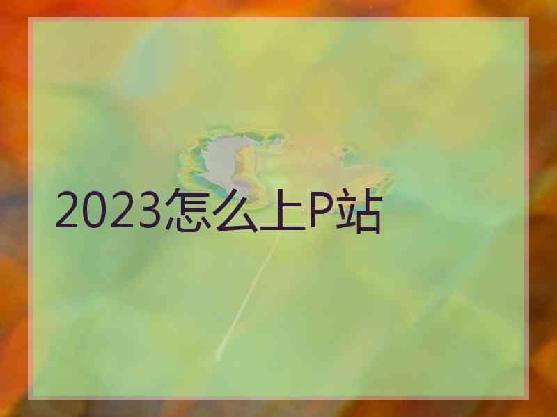 2023怎么上P站