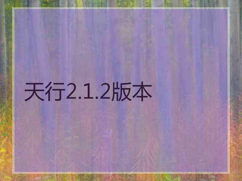 天行2.1.2版本